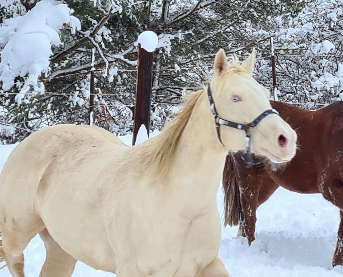 Haras De Seranon别墅 外观 照片