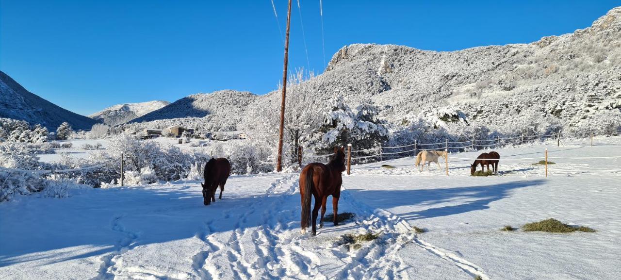 Haras De Seranon别墅 外观 照片