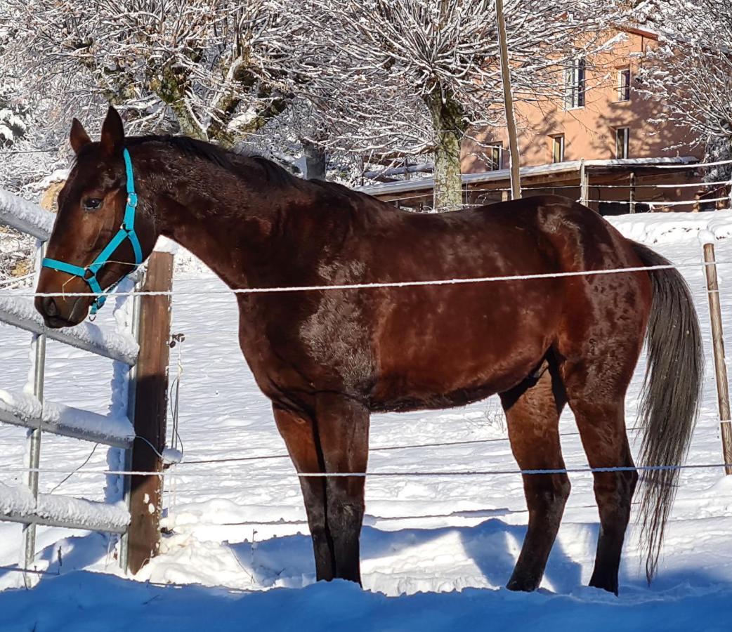 Haras De Seranon别墅 外观 照片