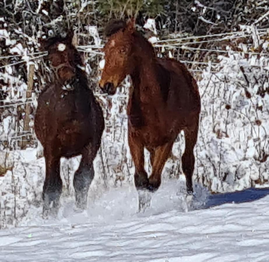 Haras De Seranon别墅 外观 照片