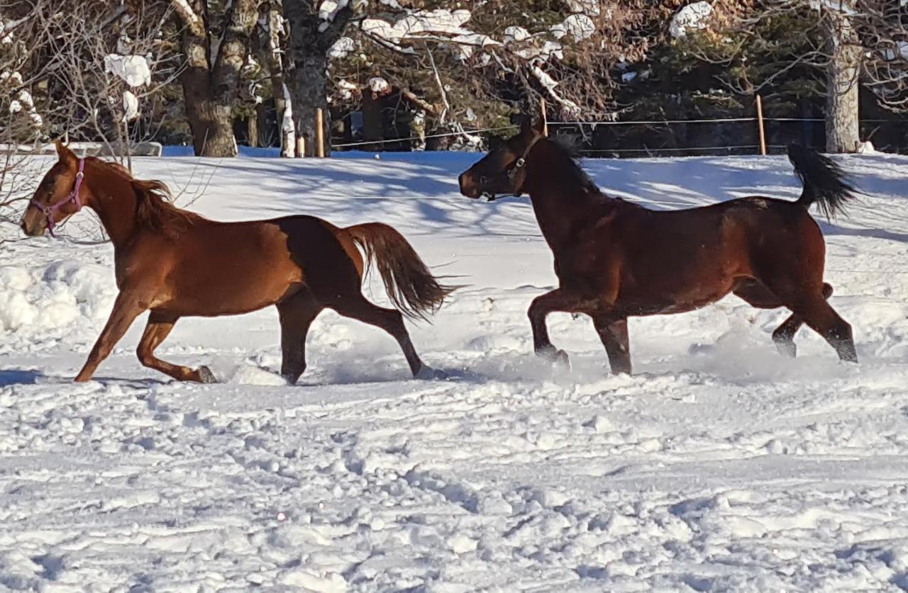 Haras De Seranon别墅 外观 照片